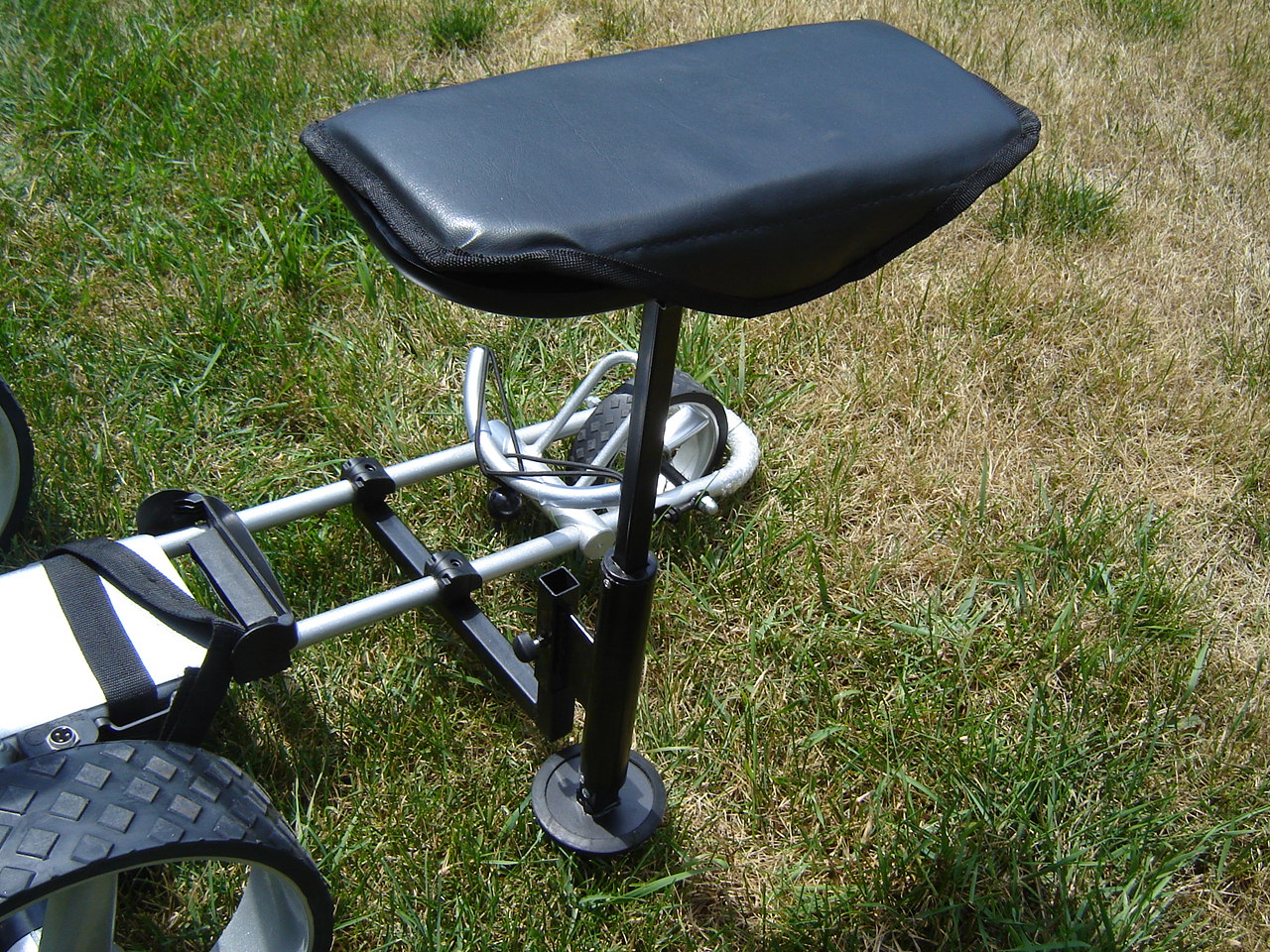 Par Caddy motorized golf carts Options